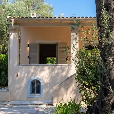 Apelia Estate - Among Ancient Olives, Experience The Quiet Soul Of Corfu *