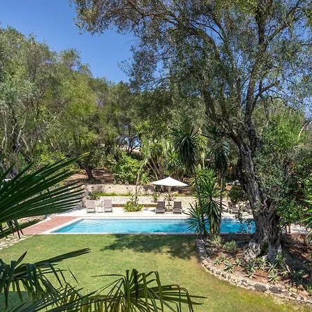 Apelia Estate - Among Ancient Olives, Experience The Quiet Soul Of Corfu * Corfu (city)