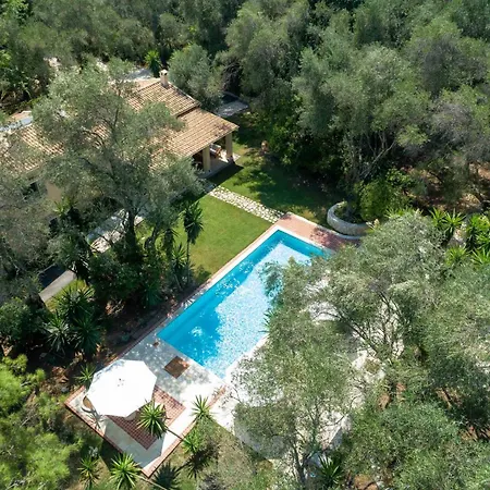 Apelia Estate - Among Ancient Olives, Experience The Quiet Soul Of Corfu