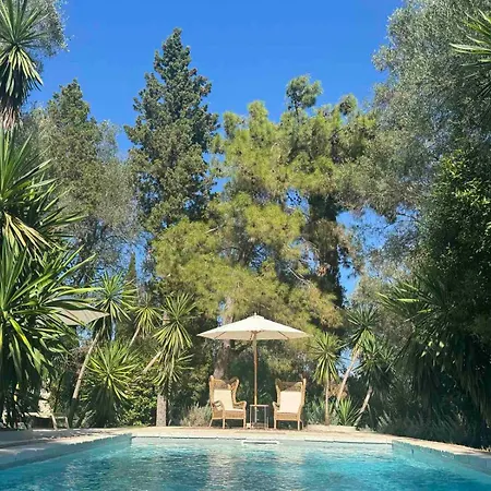 Apelia Estate - Among Ancient Olives, Experience The Quiet Soul Of Corfu Villa *