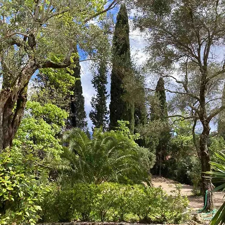 Vila Apelia Estate - Among Ancient Olives, Experience The Quiet Soul Of Corfu
